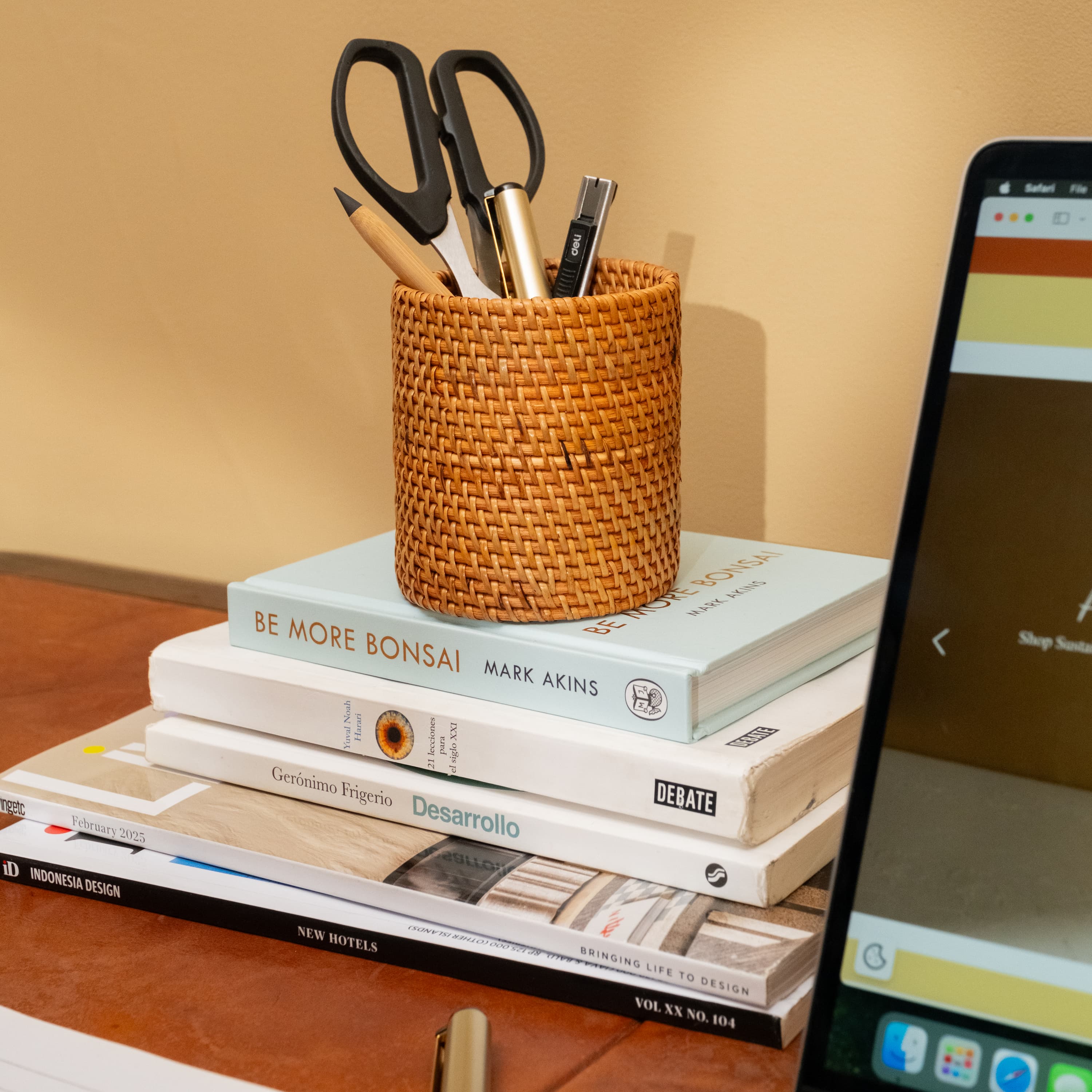 Pen and pencil holder rattan pot