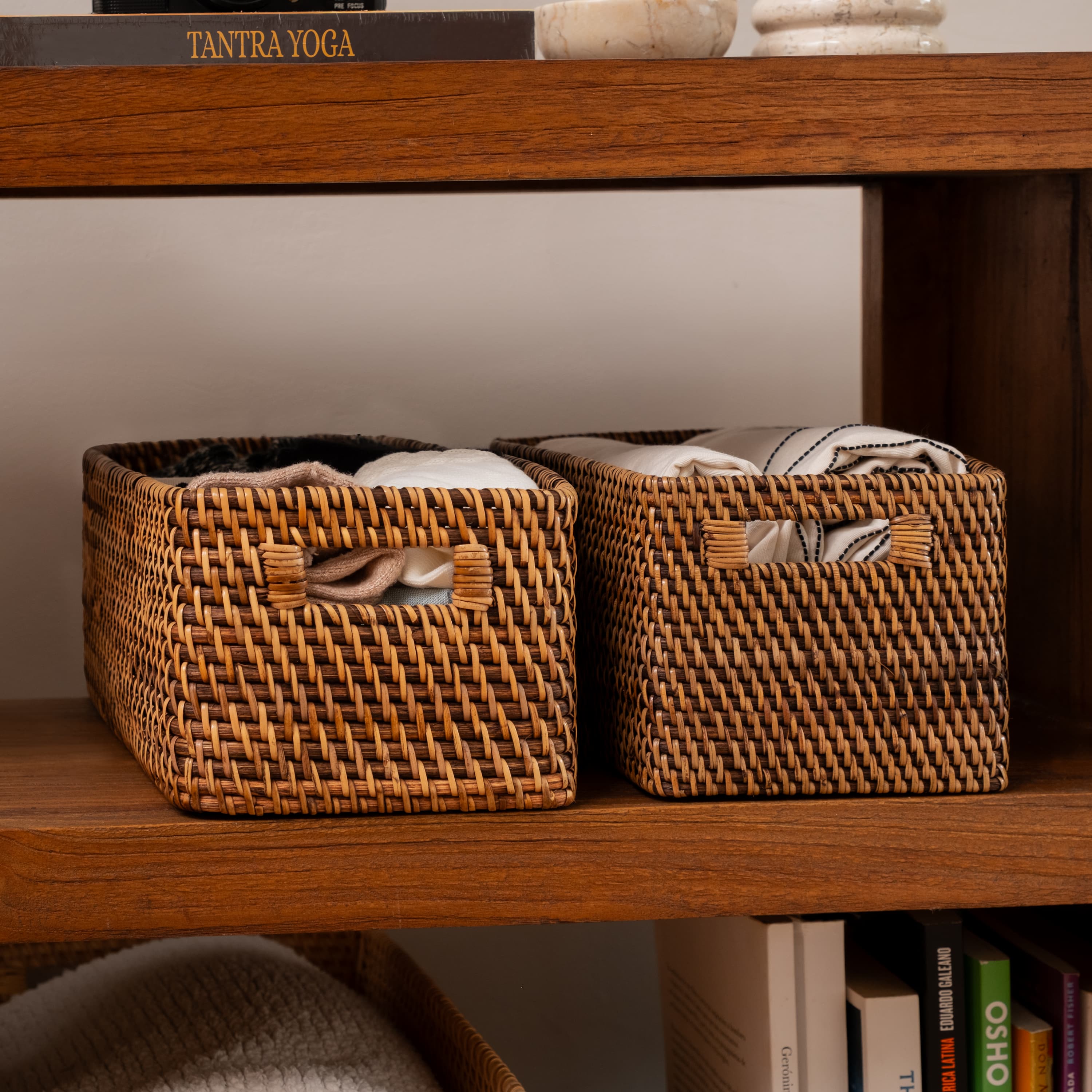 Colourful rattan storage baskets in 4 colours
